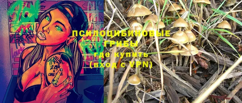 Галлюциногенные грибы MAGIC MUSHROOMS  omg как войти  Куса 